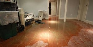 A Flooded Home Can Lead To A Mold Infestation