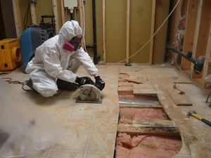 A Technician Conducting Mold Removal In A Basement