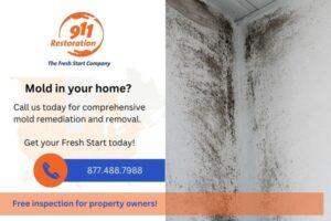 247 WATER DAMAGE (2) (1)